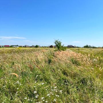 Красне, Золочівський, Львівська область 400000.0 UAH