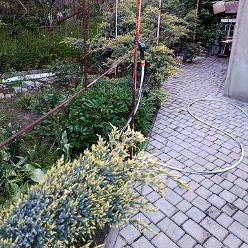 Галини Петрової вул.