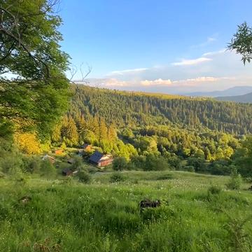 Верхній Ясенів, Верховинський, Івано-Франківська область 120000.0 USD