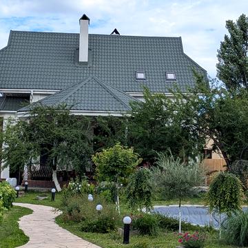 Лісова