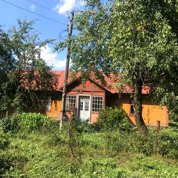 Центральна