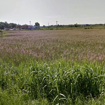 Столичне шосе