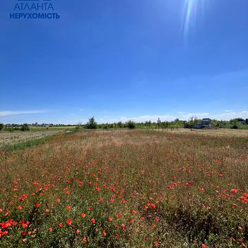Городище, Луцький, Волинська область 10000.0 USD