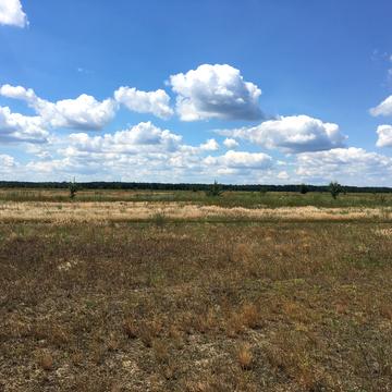 Лебедівка, Вишгородський, Київська область 48500.0 USD