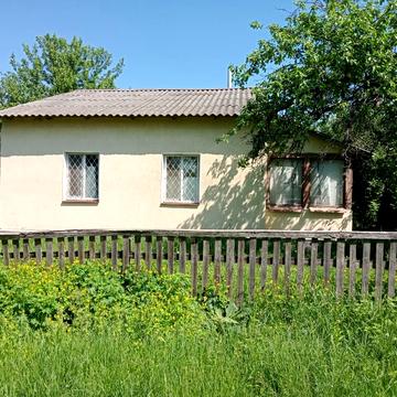 Центральна вул., 24