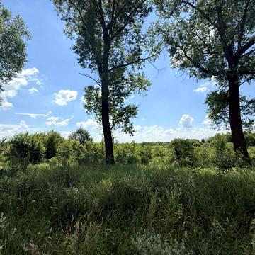 Грушевського