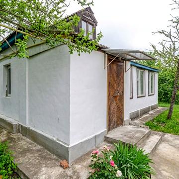 Центральна