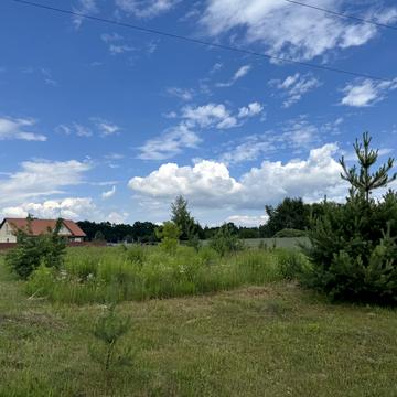 Лісова