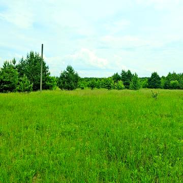 Дмитрівка (Петрівське), Вишгородський, Київська область 7800.0 USD
