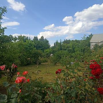 Сергія Ядова вул. (Ювілейна)