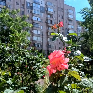 Качалова вул., 42