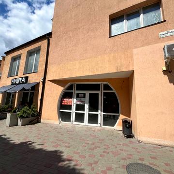 Панаса Мирного вул., (Будинок 1)