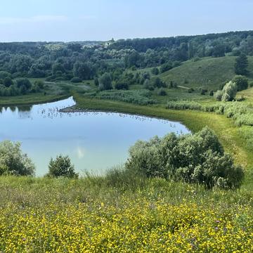 Малі Дмитровичі, Обухівський, Київська область 120000.0 USD