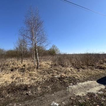 Івана Гонти