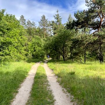 Ірпінська