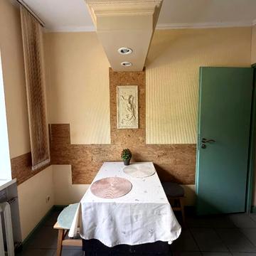 Сокіл 1, 1