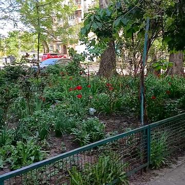Давида Ойстраха вул. (Затонського), 24/3