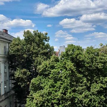 Ринок пл., 12