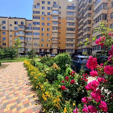 Бишівська вул., (Будинок 14)