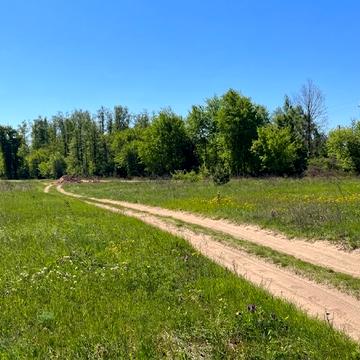 Дмитрівка, Бучанський, Київська область 13000.0 USD