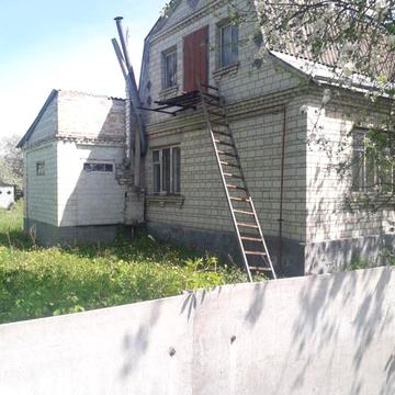 фестивальна
