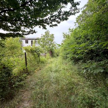 Оріховиця, Ужгородський, Закарпатська область 5000.0 USD