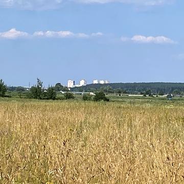 Ярослава Мудрого