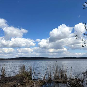 Івано-Франкове, Яворівський, Львівська область 64999.0 USD