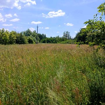 Воропаїв, Вишгородський, Київська область 7000.0 USD