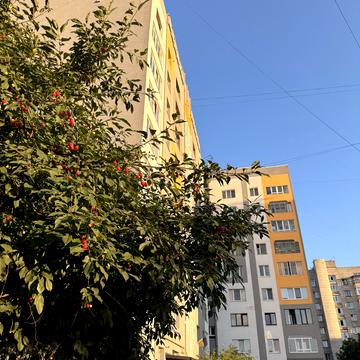 Тараса Шевченка вул., 320
