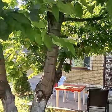 Рай-Оленівська вул.