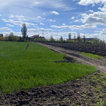 Сергія Зулінського вул. (Тарногродського)