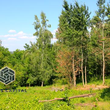 Івана Франка вул. (Некрасова)