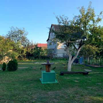 Лісова