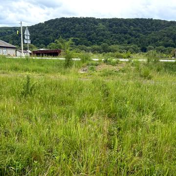 Невицьке, Ужгородський, Закарпатська область 21000.0 USD