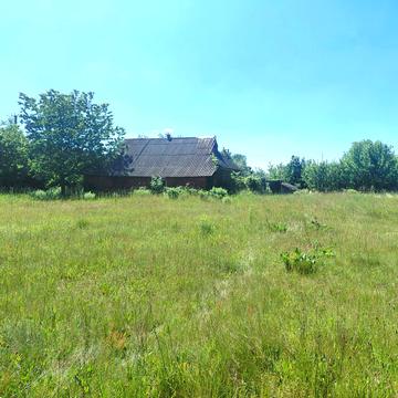 Лісова
