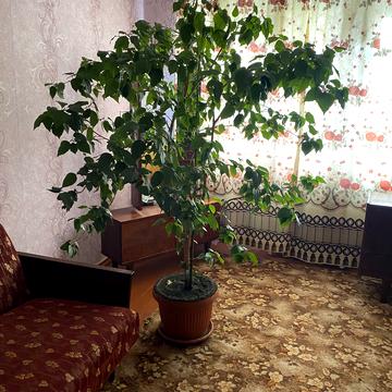 Проїзд Миру, 9