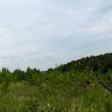 Забороль, Луцький, Волинська область 6000.0 USD