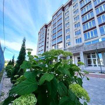 Соломіі Крушельницькоі