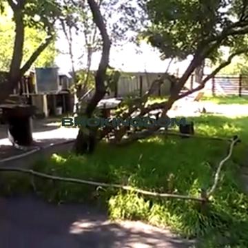 Світанкова, 7