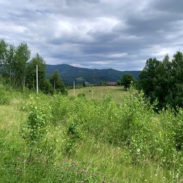 Верхня Рожанка, Стрийський, Львівська область 208800.0 USD
