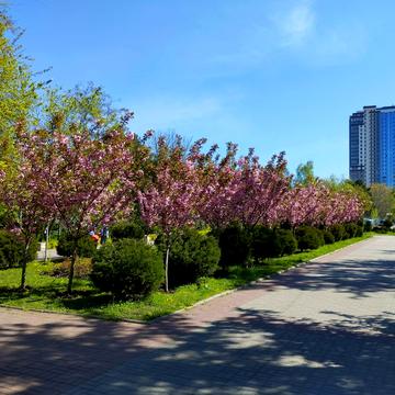 Шевченка просп., 29/1