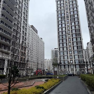 Михайла Максимовича вул. (Онуфрія Трутенка), 26-Д