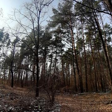 Стовпяги, Бориспільський, Київська область 14000.0 USD