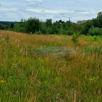 Заріччя, Коростенський, Житомирська область 10800.0 USD