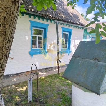 Відродження, 10
