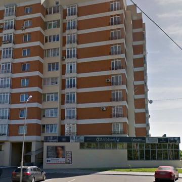 Леоніда Перфецького вул., 2а