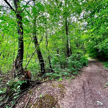 Оріховиця, Ужгородський, Закарпатська область 10000.0 USD