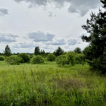 Колонщина, Бучанський, Київська область 12500.0 USD