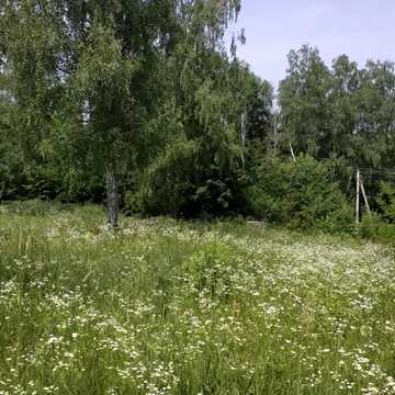 Яррова
